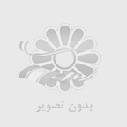 بیوگرافی شرکت طبیعت گران نارگل